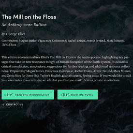 Mill on the Floss