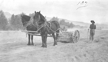 A Man In the Field With His Team and Plow, ca. 1910