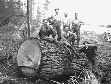 Choker setters, Lewis Mill and Timber Company, ca. 1922