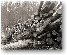 Logging crew on cold deck, Mason County Logging Co., Bordeaux, ca. 1932. Special Collections, UW Libraries, C. Kinsey 2026