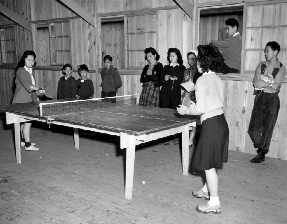 Ping Pong