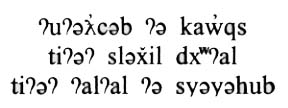 Phonetic representations of sounds in Lushootseed